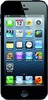 Apple iPhone 5 16GB - Ржев