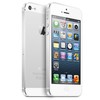 Apple iPhone 5 64Gb white - Ржев